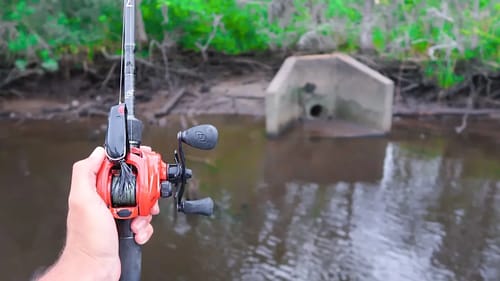 Catching DOUBLE DIGIT Bass in HIDDEN Backwaters (River Fishing)