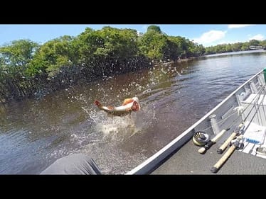 Ambushed by a Pack of Giant Amazonian Fish  (New PB!)