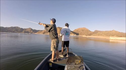 Spring Bass Fishing With Swimbaits And Jerkbaits Ft Phoenix Pichner