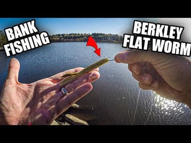 Bank Fishing | Berkley Flat Worm Saved Me!