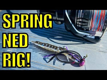 Bass STILL Love This Lure (Spring Bank Fishing)