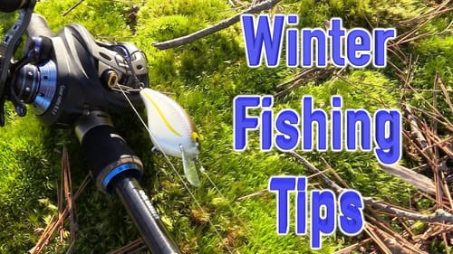 Winter Fishing Tips for Bass - BEST Winter Baits