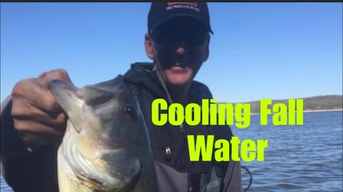 Cooler Fall Nights Make Bass Bite THIS Lure…(90% Of Anglers Will Guess Wrong)