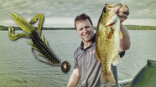 A Detailed Guide to Bass Fishing With Swinging Jigs