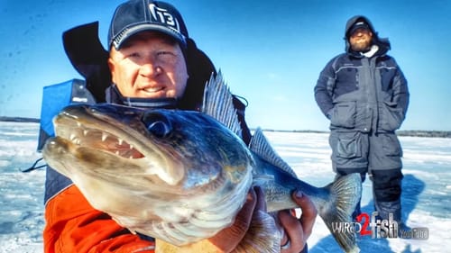 Ice Fishing Walleye Using Spoons and Plastics