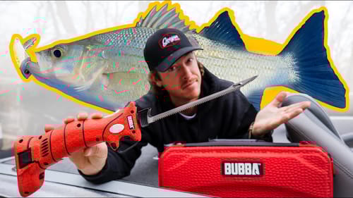 Fish Clean & Cook with New $$$ Fillet Knife, Worth it?
