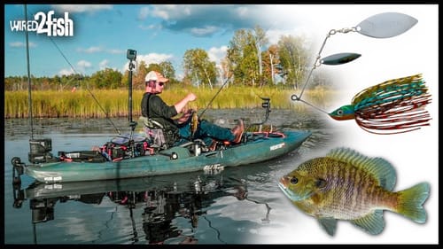 Spinnerbait Basics for Bass in Lily Pads | Summer to Fall Transition