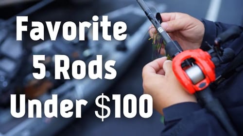 My 5 Favorite Bass Fishing Rods Under 100 Dollars