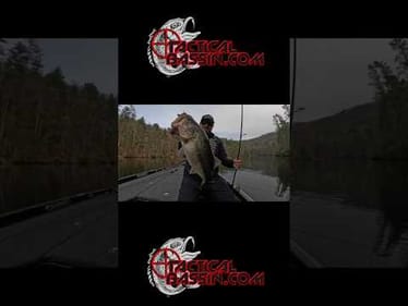 BIG Fish Will Surprise You On This Bait!