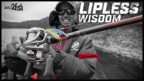 5 Tips For Better Bass Fishing with Lipless Crankbaits