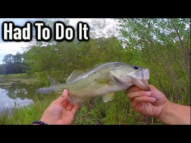 I GOT IN THE WATER FOR THE FISH...