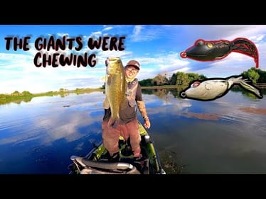 Insane Topwater Frog Fishing Action(The Giants Were Chewing)