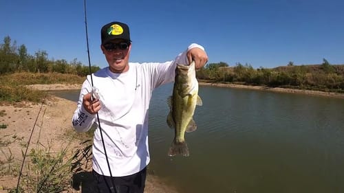 Reaction Baits for Quality Bass! (Fall time Bassin')