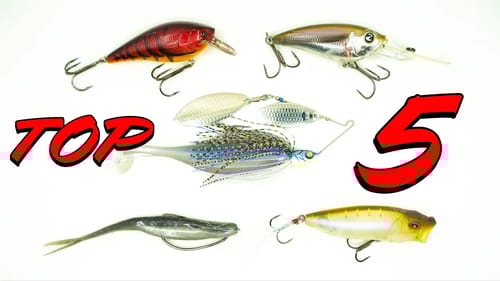 Top 5 Baits for May Bass Fishing!