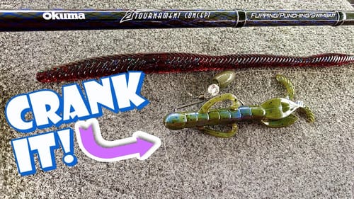 Cranking A Carolina Rig?