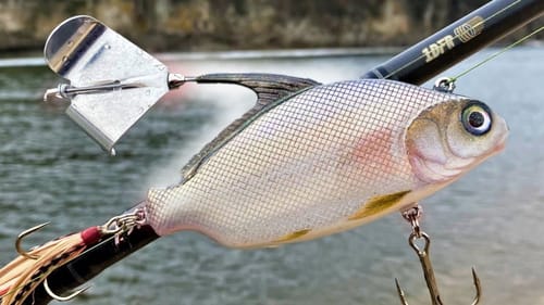 Making QuillBack CarpSucker BuzzBait