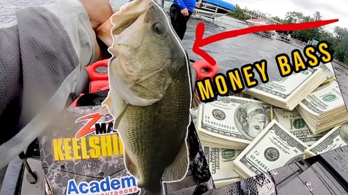 i almost ruined my chance - bass fishing LAKE CHAMPLAIN TOYOTA SERIES