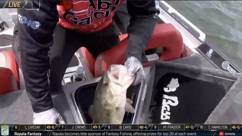 Yamaha Clip of the Day (Cherry seals Classic win on Guntersville)