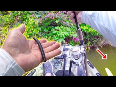 Let Me Show You An Easy Way To Catch Big Bass In A Kayak