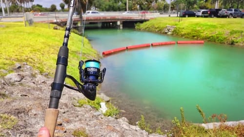 Catching AQUARIUM Fish in MIAMI CANALS! (HUGE PB)!