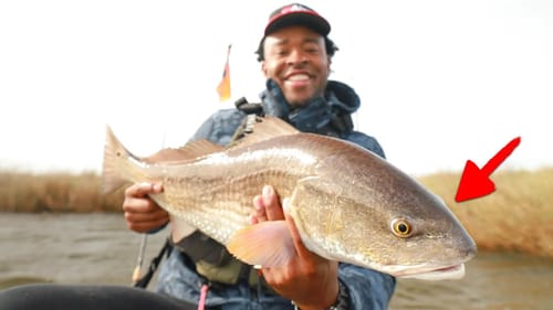 Best Day of Fishing