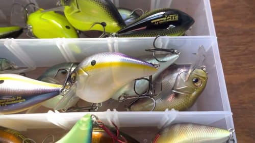Late Winter Bass Candy