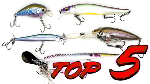 Top 5 Baits for November Bass Fishing!