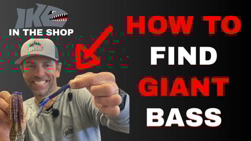 How to Find GIANT BASS (Guide)
