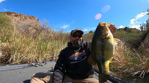 GOLDEN ALGAE At Saguaro Lake??