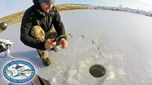World Record Catch Ice Fishing on 2lb Test!
