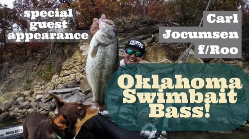 Swimbait fishing with FLW Tour Pro Carl Jocumsen