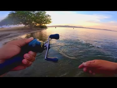 Evening Bank Fishing Session on the Forbay(Quick Limit)