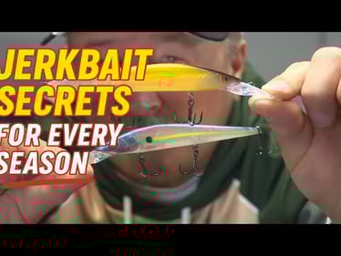 Jerkbait Secrets for Every Season Setup, Retrieve & Line Tips | Bass Fishing