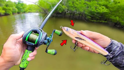 Fishing w/ NEVER Before Seen TOPWATER! (Pond Fishing)