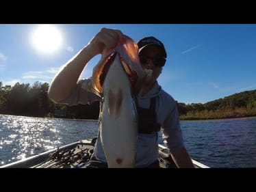 GIANT Northern Bass (New PB!)