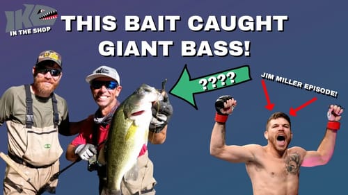 THIS BAIT CAUGHT GIANT BASS!