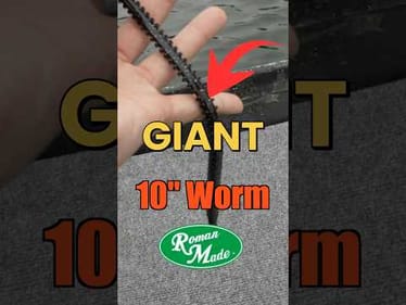 Can We Catch A Fish On A 10” Worm From Roman Made?#fishing #fishingvideos #bassfishing