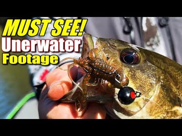 Bass Fishing's Best Kept Secret for Fall and Winter Revealed!