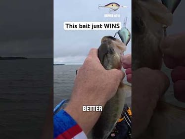 This Bait Won Kentucky Lake 🏆 #shorts