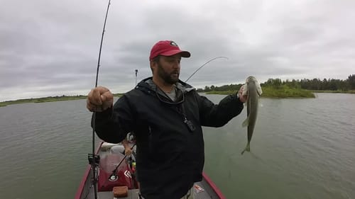Epic Day of Bass Fishing Before Hurricane Matthew