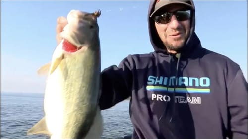 Cayuga Lake: Early big fish action on Day 2 of Bassmaster Elite