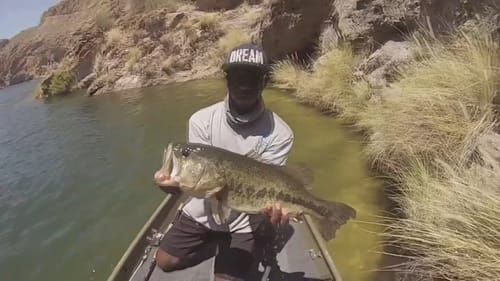 How I Got Into Throwing Big Swimbaits Part III - Epic Summertime Bass Fishing
