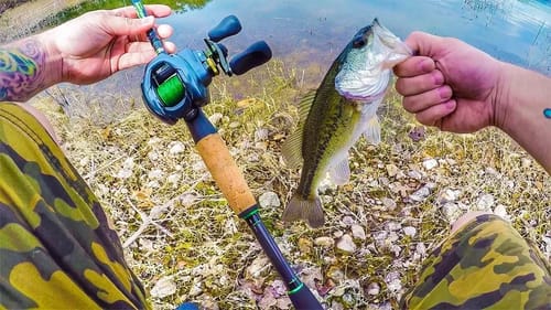 Pre-Spawn Bass Fishing | Dobyns Fury First Impressions