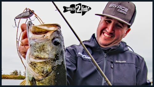 Spring Bass Hammerfest on Silent Lipless Crankbaits | Big Bass Action