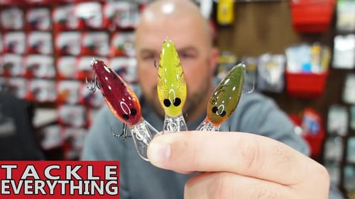 NEW *LIMITED* Custom Colors ... & MORE
