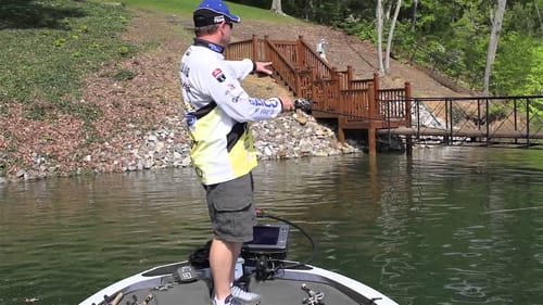 Bass around Boat Dock Cables