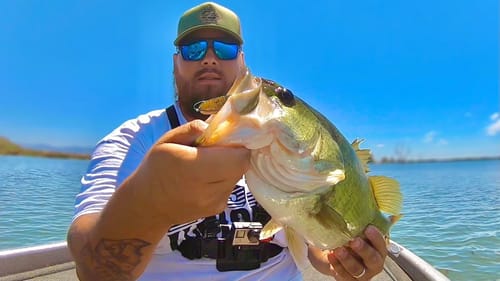 Summertime Topwater Frog Fishing for Shallow Bass in Northern California | Special Announcement