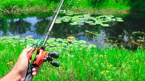 WEIRD Walmart FROG Fishing Challenge for BIG BASS
