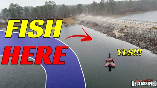 The BEST Place To Catch BASS With Crankbaits