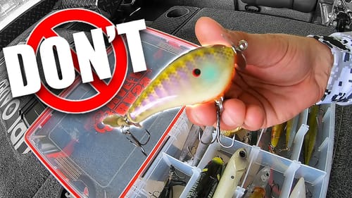 DOs & DON'Ts of Topwater BASS Fishing | Everything You Need to Know
